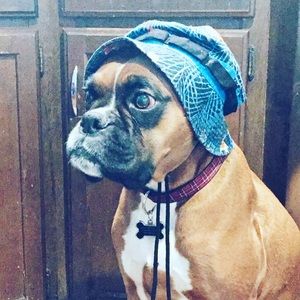 Meet your Posher, Alexis